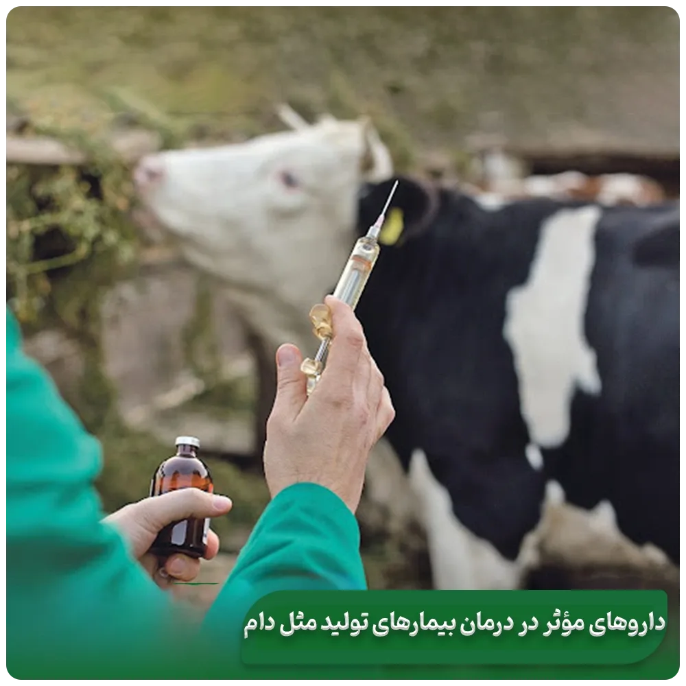Types-of-livestock-reproductive-diseases-and-combating-common-diseases
