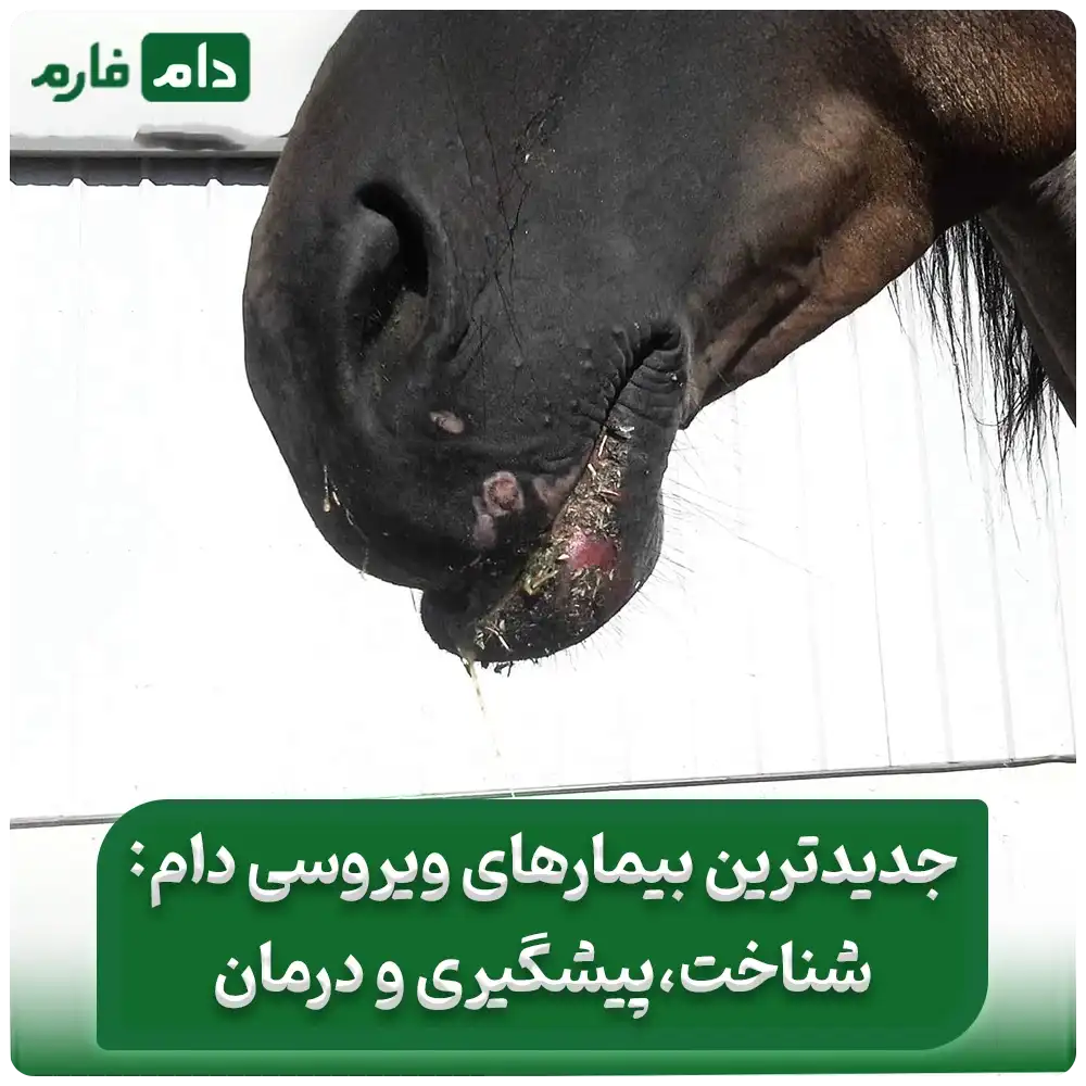 جدیدترین_بیماری_های_ویروسی_دام_