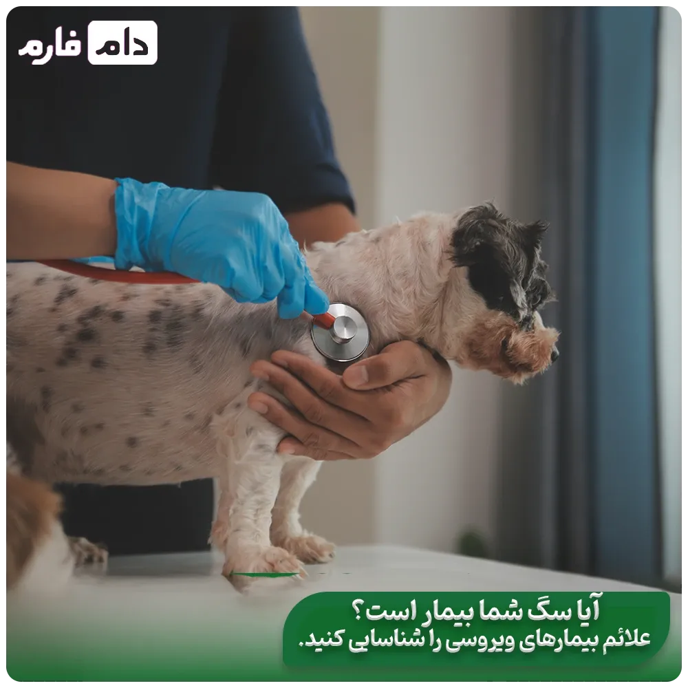 The-latest-viral-livestock-diseases