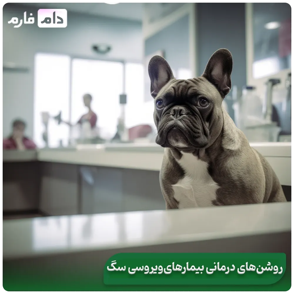 The-latest-viral-livestock-diseases