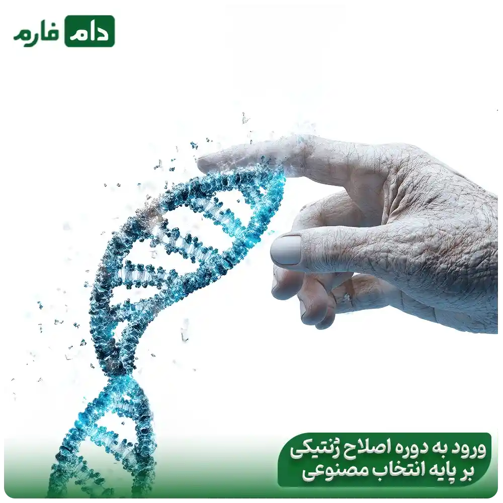 Breeding-in-the-Poultry-Industry-A-Journey-from-the-Past-to-the-Future