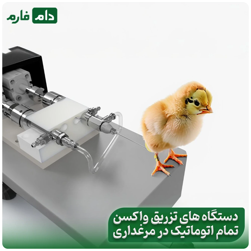 Chicken-and-chicken-vaccine-injection-devices:-from-traditional-to-smart-at-a-glance