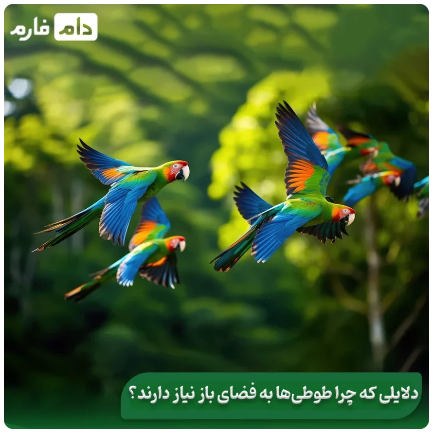 Healthy-food-for-parrots-The-best-food-for-parrots