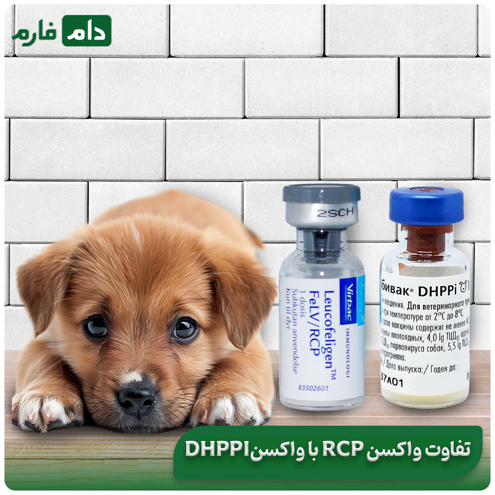 Why-is-the-RCP-vaccine-needed-for-puppies-5-important-reasons-for-the-health-of-dogs