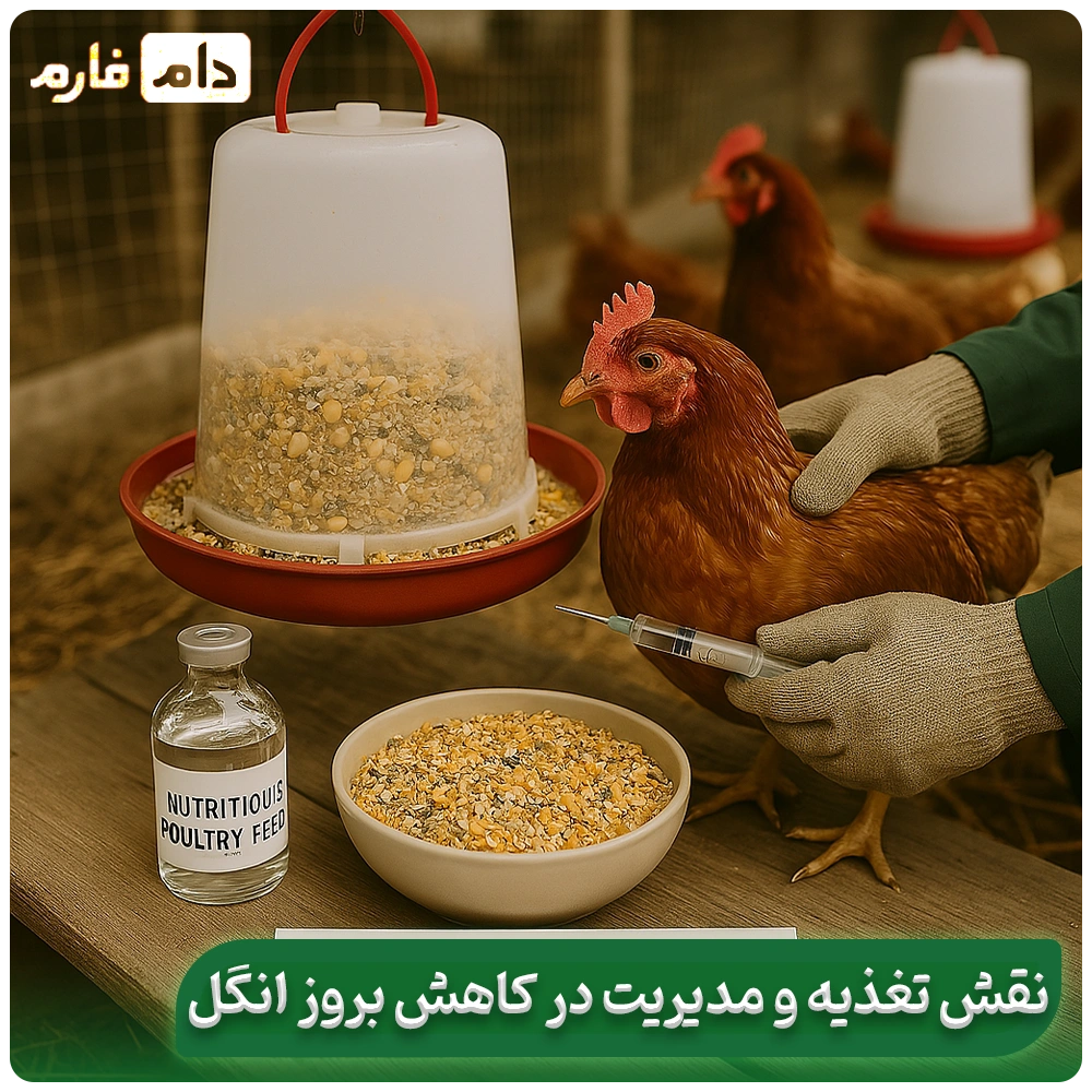 Parasitic-diseases-in-chickens:-symptoms,-treatment,-and-golden-control-strategies