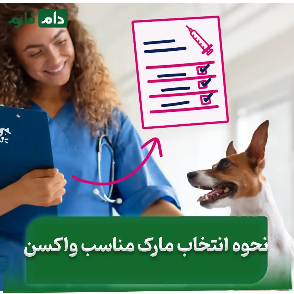 The-best-dog-vaccine-brand