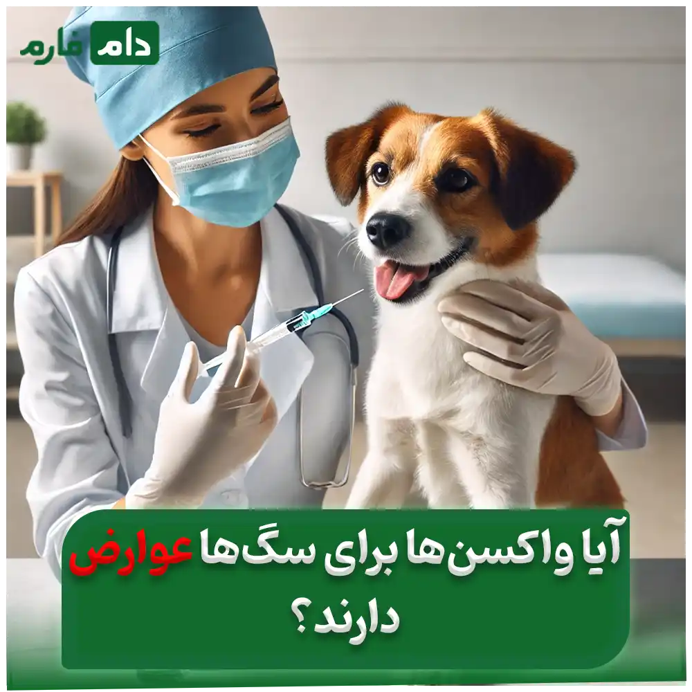 The-best-dog-vaccine-brand