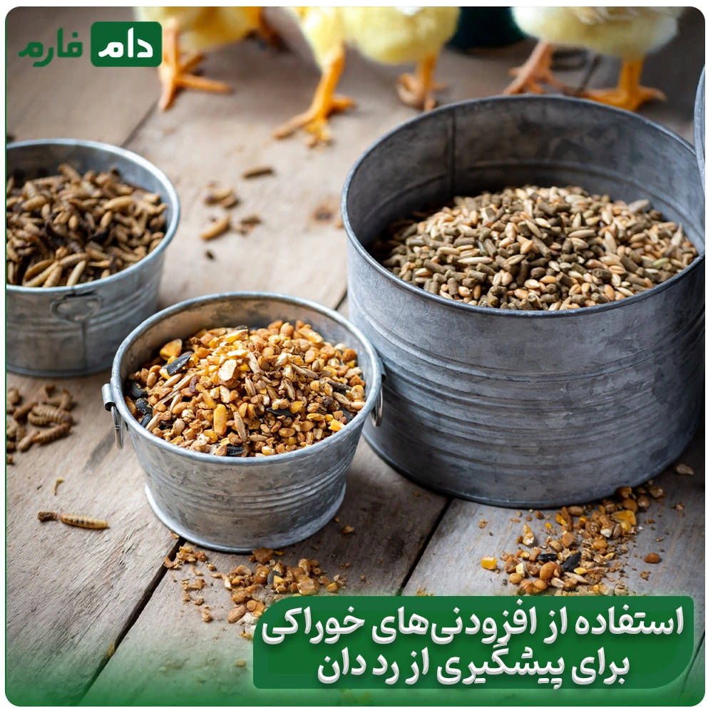 Say-goodbye-to-red-manure;-scientific-solutions-to-control-it-in-poultry-farms