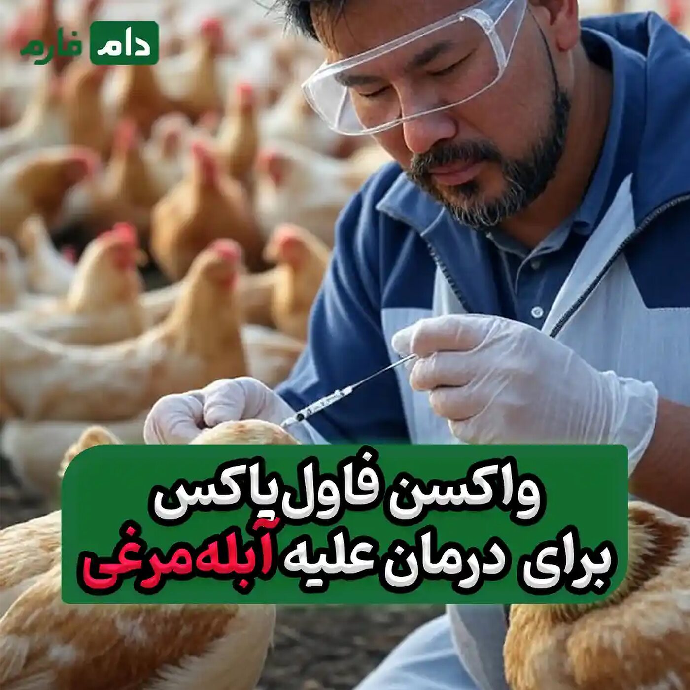 واکسن_فاول‌پاکس_برای_حفاظت_علیه_آبله‌_مرغی