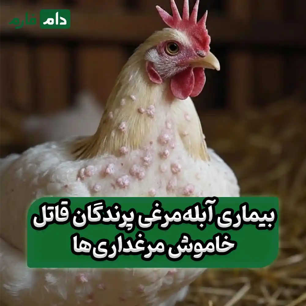 Fowlpox-vaccine-to-protect-against-chickenpox