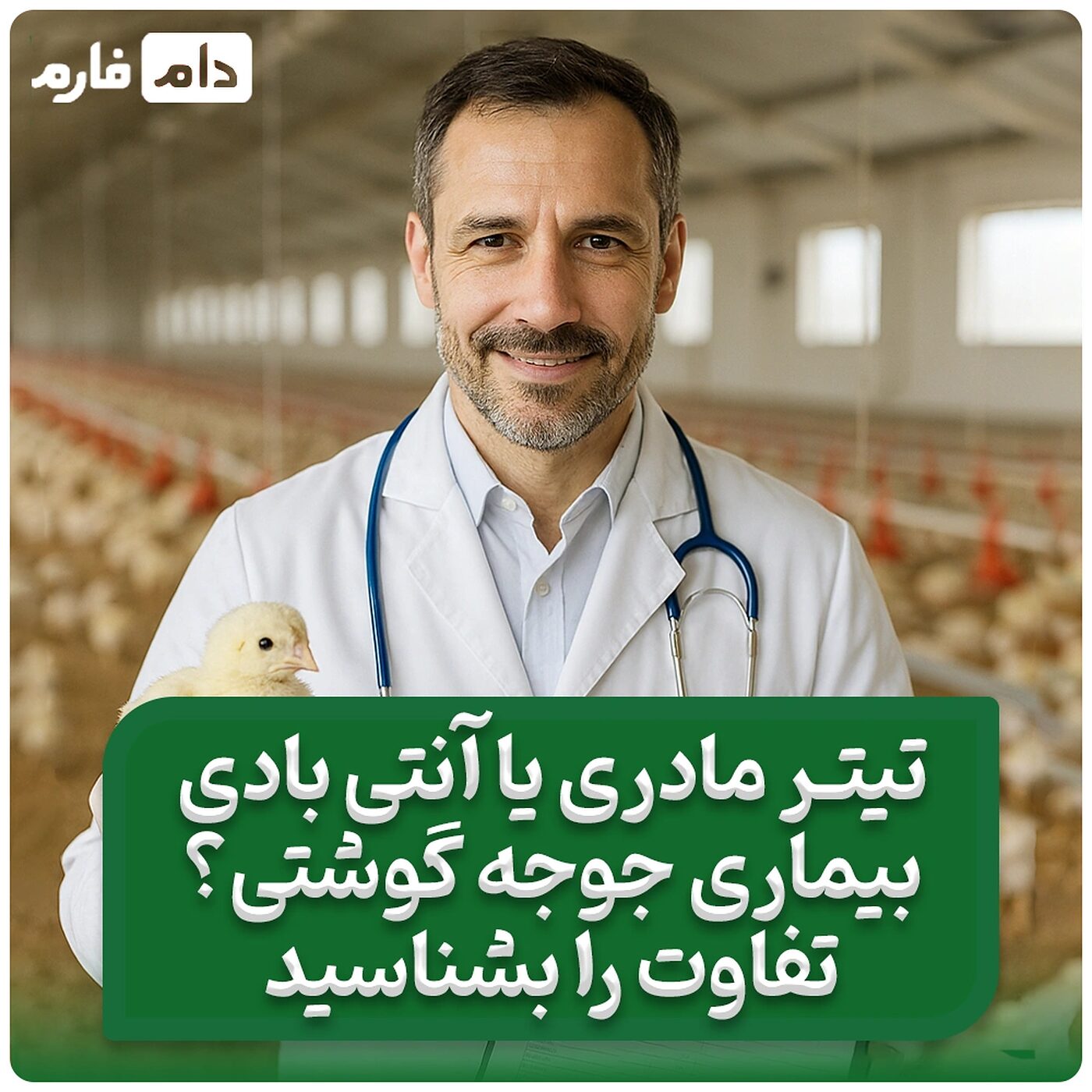 تفاوت_تست_تیتر_مادری_و_آنتی_بادی_مادری_بیماری_های_جوجه_گوشتی