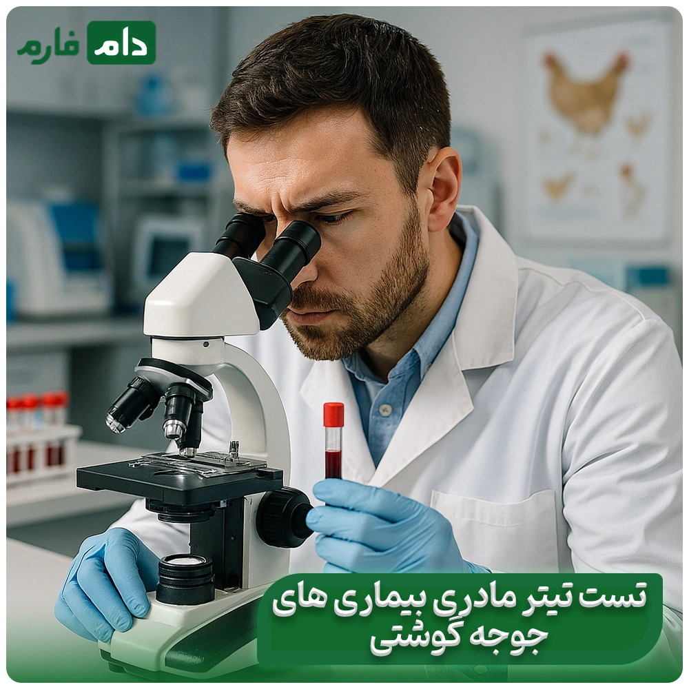 Difference-between-maternal-titer-test-and-maternal-antibody-test-for-broiler-chicken-diseases