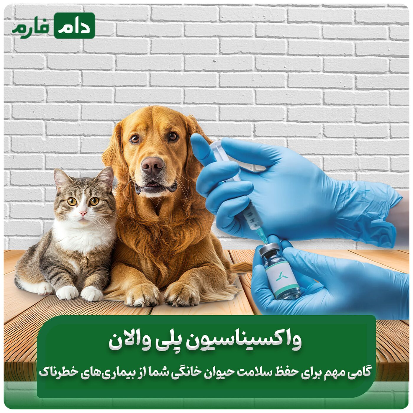 همه_چیز_درباره_واکسن_پلی_والان:_نحوه_عملکرد_و_فواید_آن