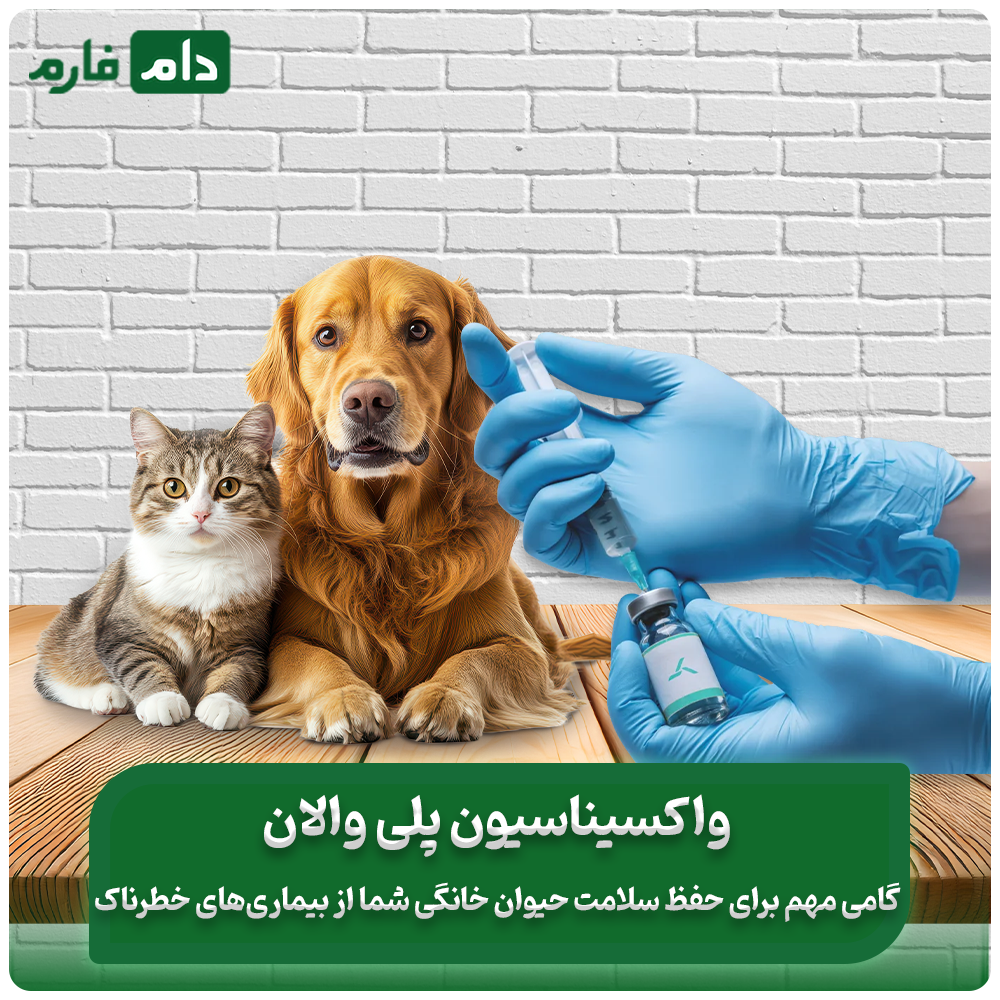 همه_چیز_درباره_واکسن_پلی_والان:_نحوه_عملکرد_و_فواید_آن