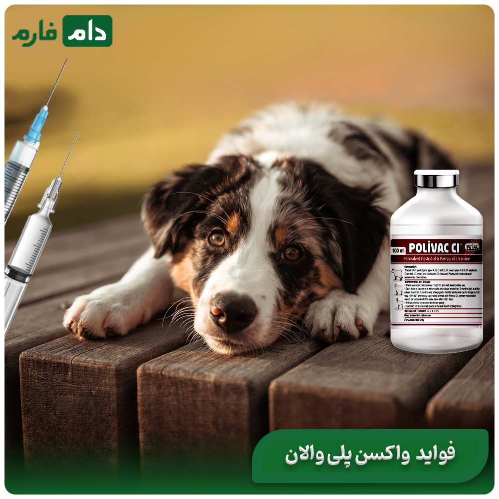 All-about-polyvalent-vaccine:-its-performance-and-benefits