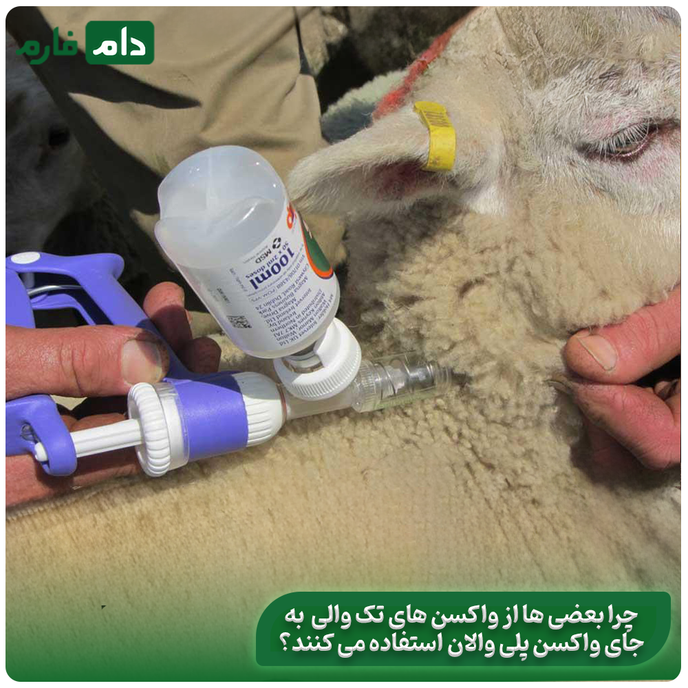 All-about-polyvalent-vaccine:-its-performance-and-benefits