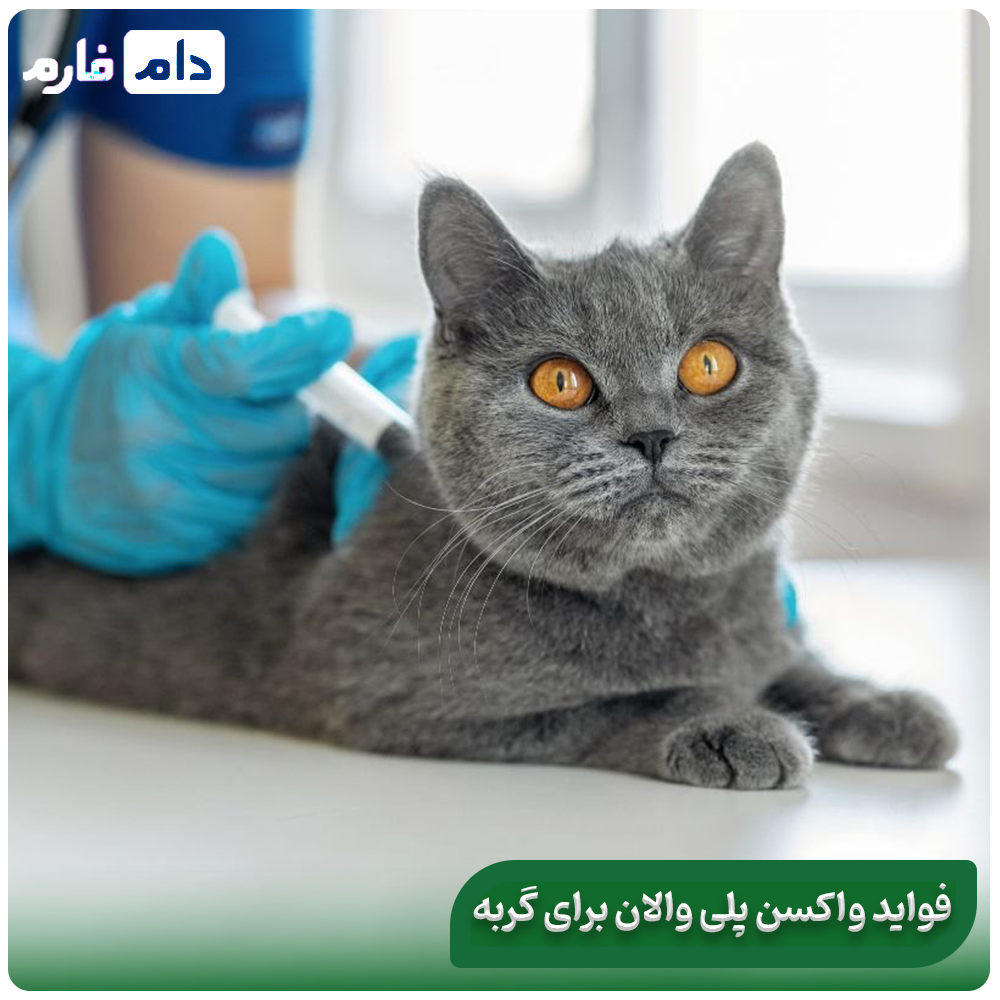 All-about-polyvalent-vaccine:-its-performance-and-benefits