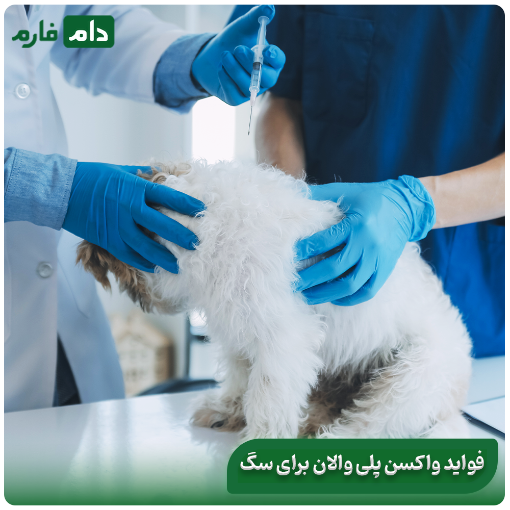 All-about-polyvalent-vaccine:-its-performance-and-benefits