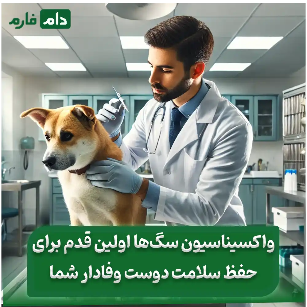 انواع_واکسن‌های_سگ_