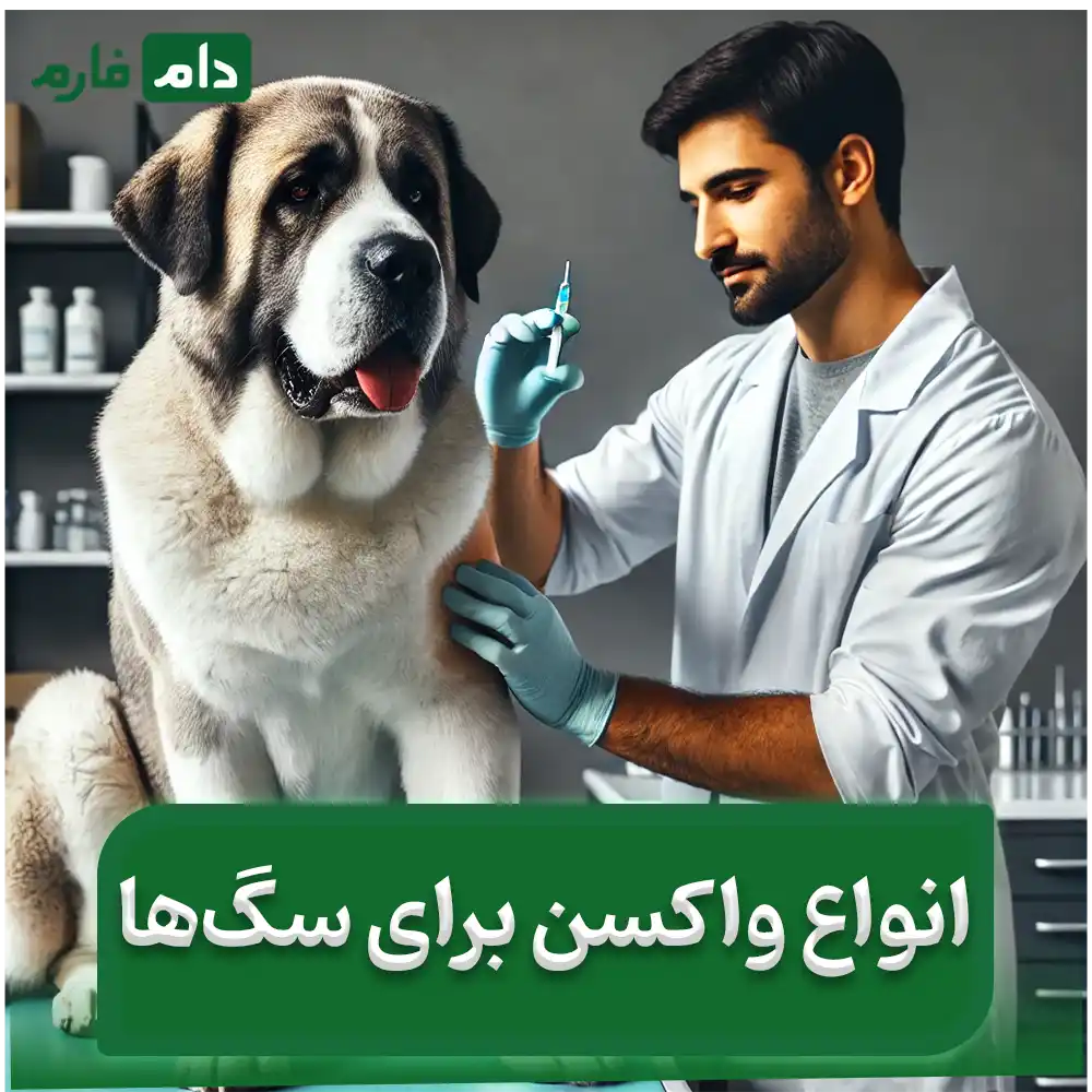 Types-of-dog-vaccines