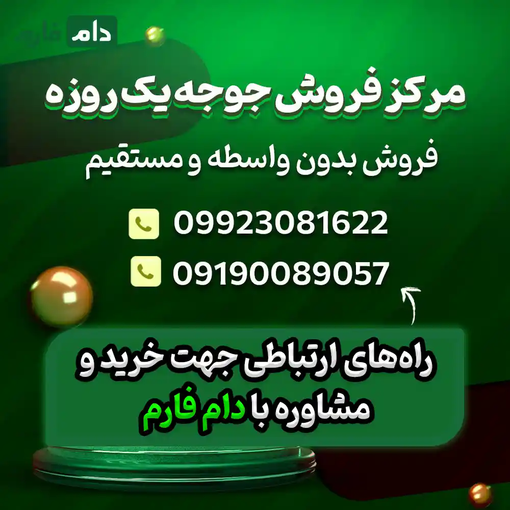 Sarhad-Chicken-Seal-Sales-Company-09190089057