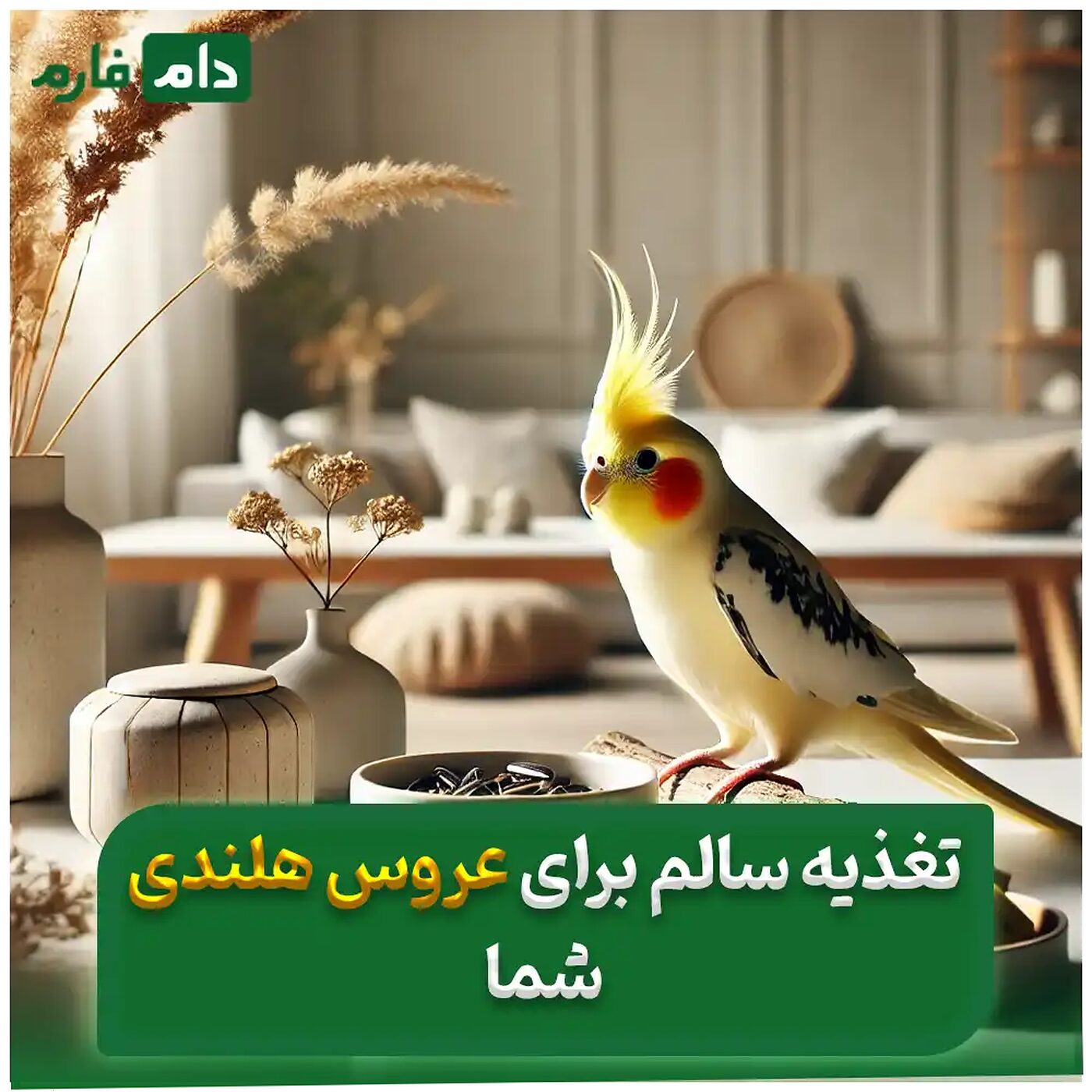 غذای_عروس_هلندی_|_جلوگیری_از_مواد_غذایی_مضر_برای_عروس_هلندی