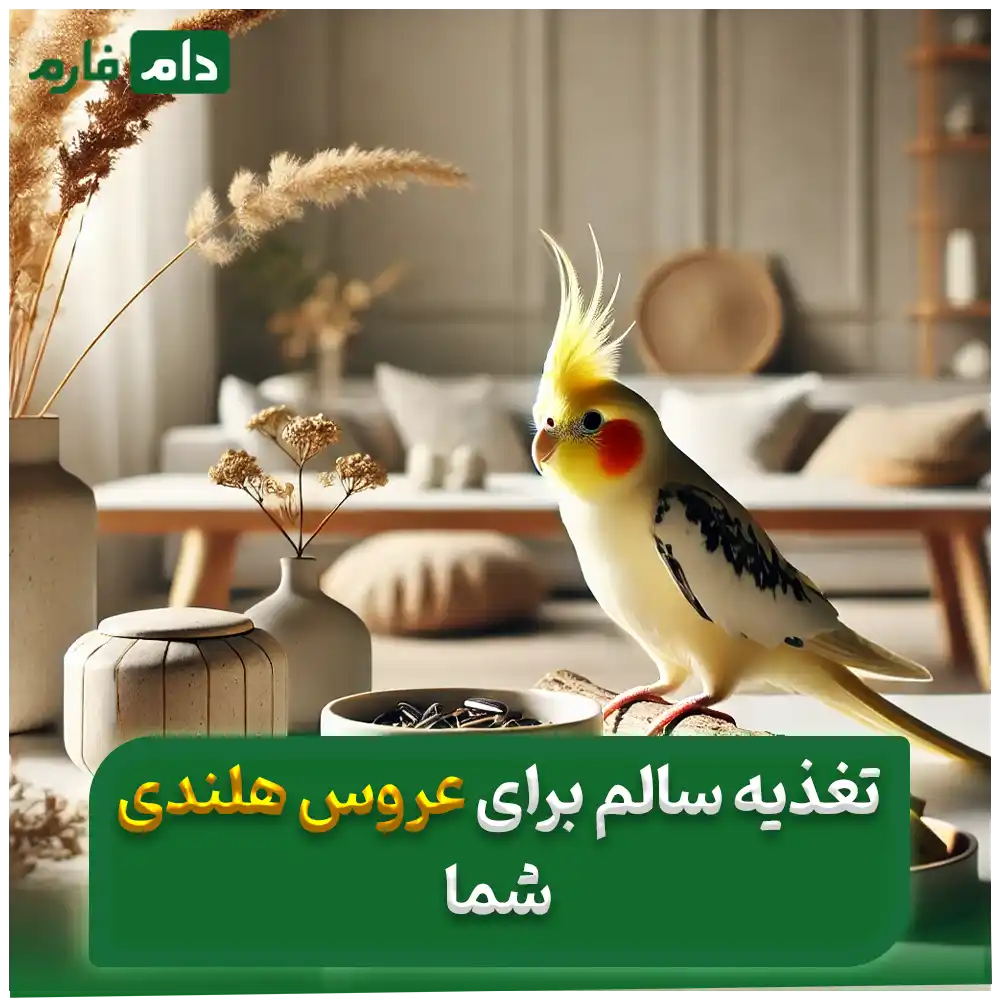 غذای_عروس_هلندی_|_جلوگیری_از_مواد_غذایی_مضر_برای_عروس_هلندی