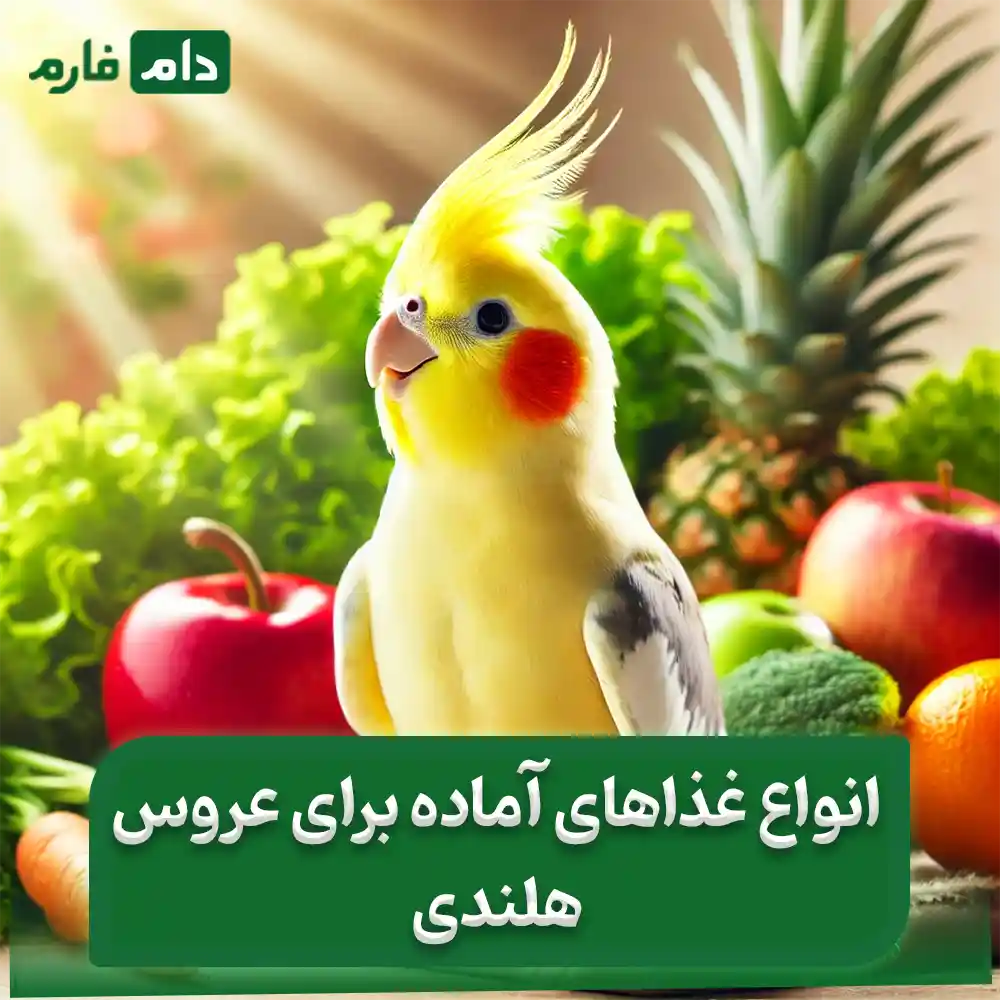 Dutch-bride-food-Avoiding-harmful-foods-for-the-Dutch-bride