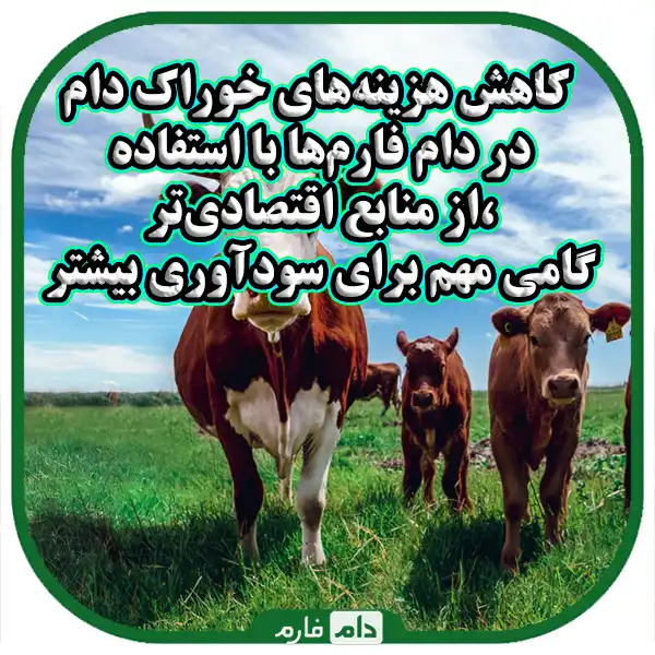 Cost-reduction-solutions-in-animal-husbandry,-cheaper-feed-for-high-yield-prices