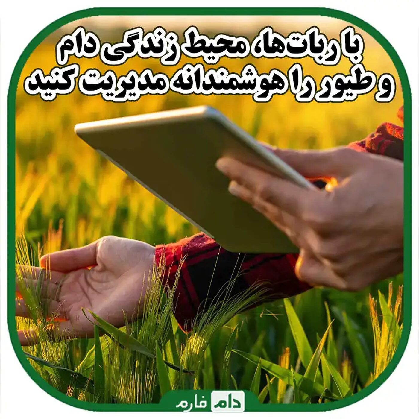 استفاده_از_ربات‌ها_برای_مدیریت_محیط_زندگی_دام_و_طیور