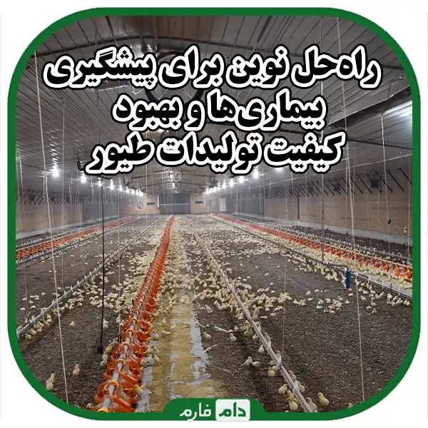 Examining-the-health-of-day-old-chicks-using-infrared-images