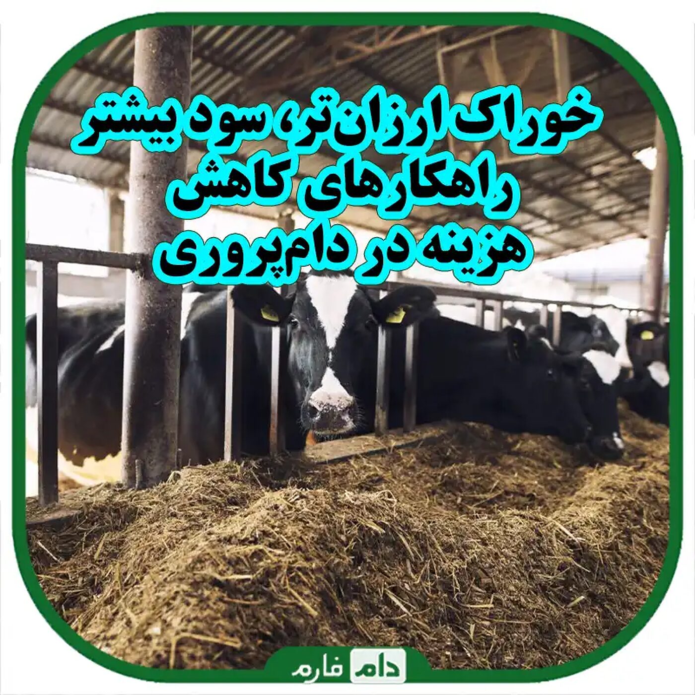 راهکارهای_کاهش_هزینه_در_دام‌پروری_خوراک_ارزان‌تر_برای_مزرعه‌های_پر_بازده