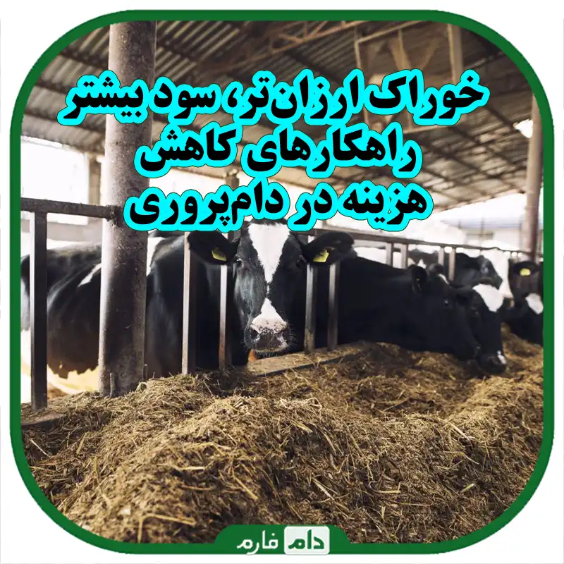 راهکارهای_کاهش_هزینه_در_دام‌پروری_خوراک_ارزان‌تر_برای_مزرعه‌های_پر_بازده