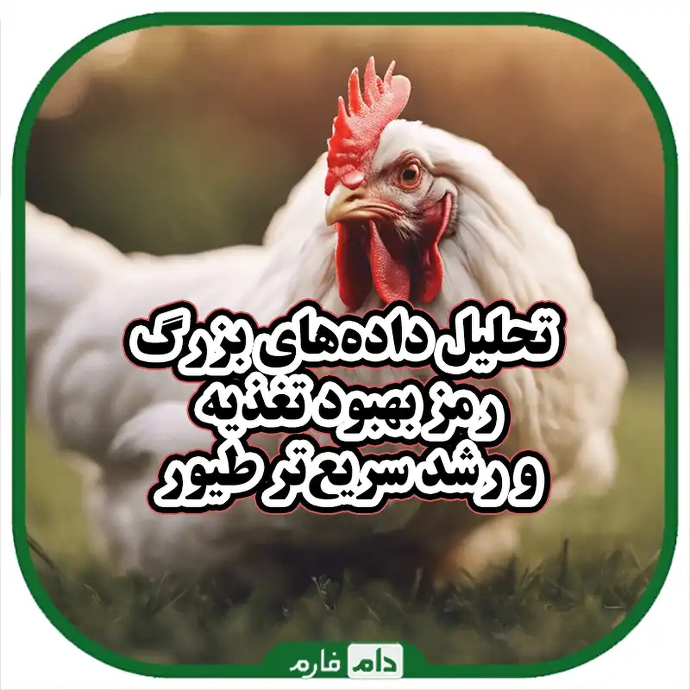 چگونه_تحلیل_داده‌های_بزرگ_می‌تواند_به_بهبود_کیفیت_تغذیه_و_رشد_طیور_کمک_کند