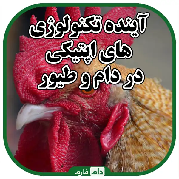 Optical-advances-in-the-diagnosis-of-livestock-and-poultry-diseases