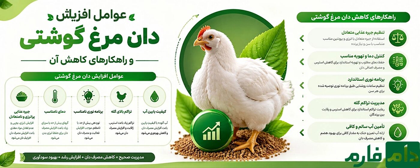 عوامل_افزایش_دان_مرغ_گوشتی_و_راهکارهای_کاهش_آن
