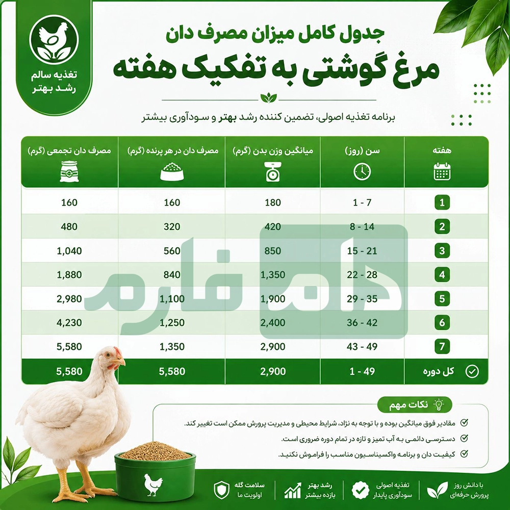 Factors-that-increase-broiler-feed-and-strategies-to-reduce-it