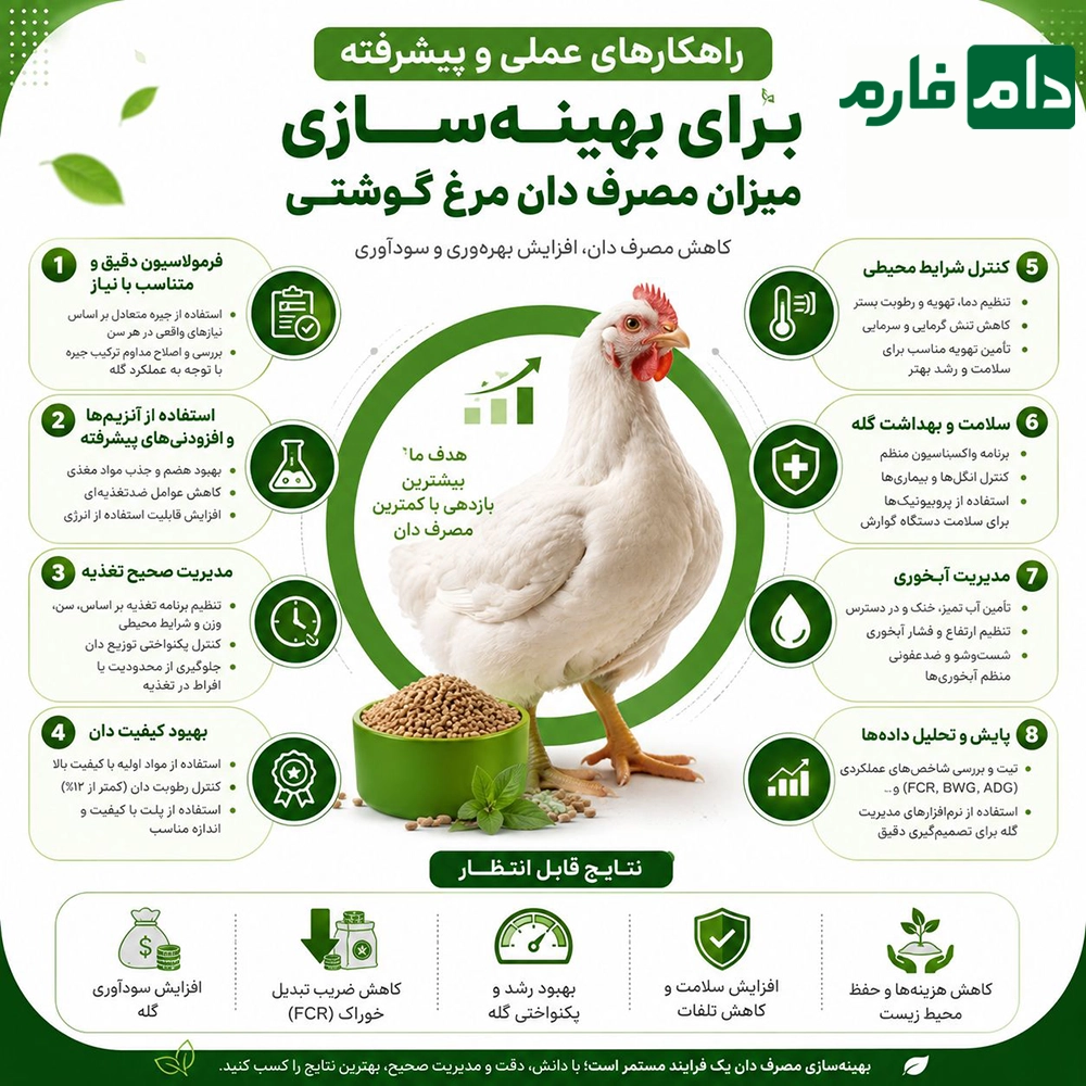 Factors-that-increase-broiler-feed-and-strategies-to-reduce-it