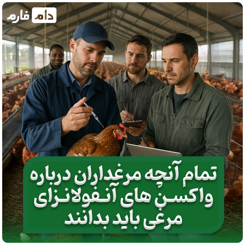 واکسن_آنفولانزای_مرغی_:عوارض،_مزایا_و_بهترین_زمان_تزریق_واکسن