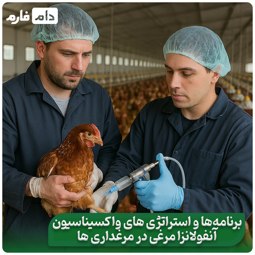 Bird-Flu-Vaccine:-Side-Effects,-Benefits,-and-Best-Time-to-Get-the-Vaccine