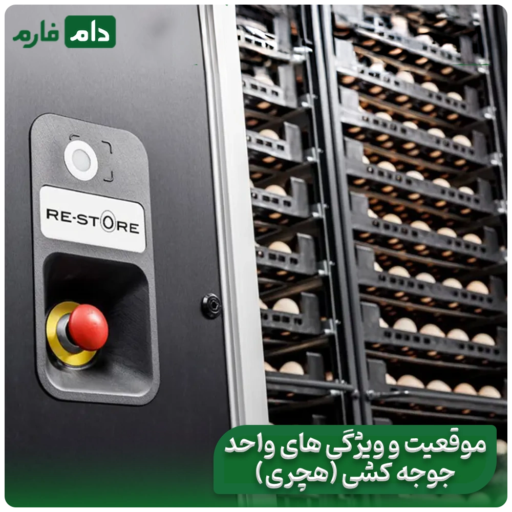 Where-does-the-quality-of-the-chick-come-from-From-the-mother-hen's-place-to-the-hatcher