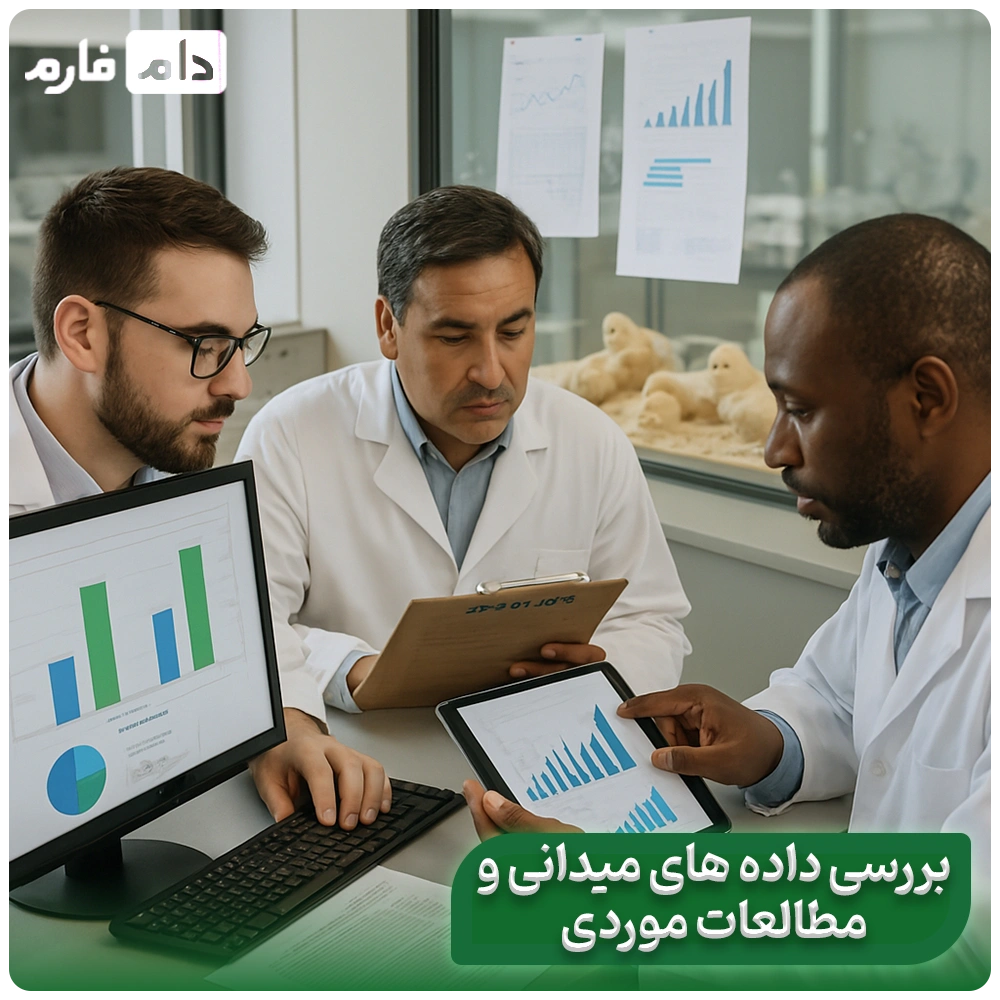 Where-does-the-quality-of-the-chick-come-from-From-the-mother-hen's-place-to-the-hatcher