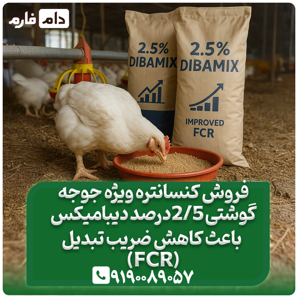 فروش_کنسانتره_ویژه_جوجه_گوشتی_2/5_درصد_دیبامیکس_09190089057