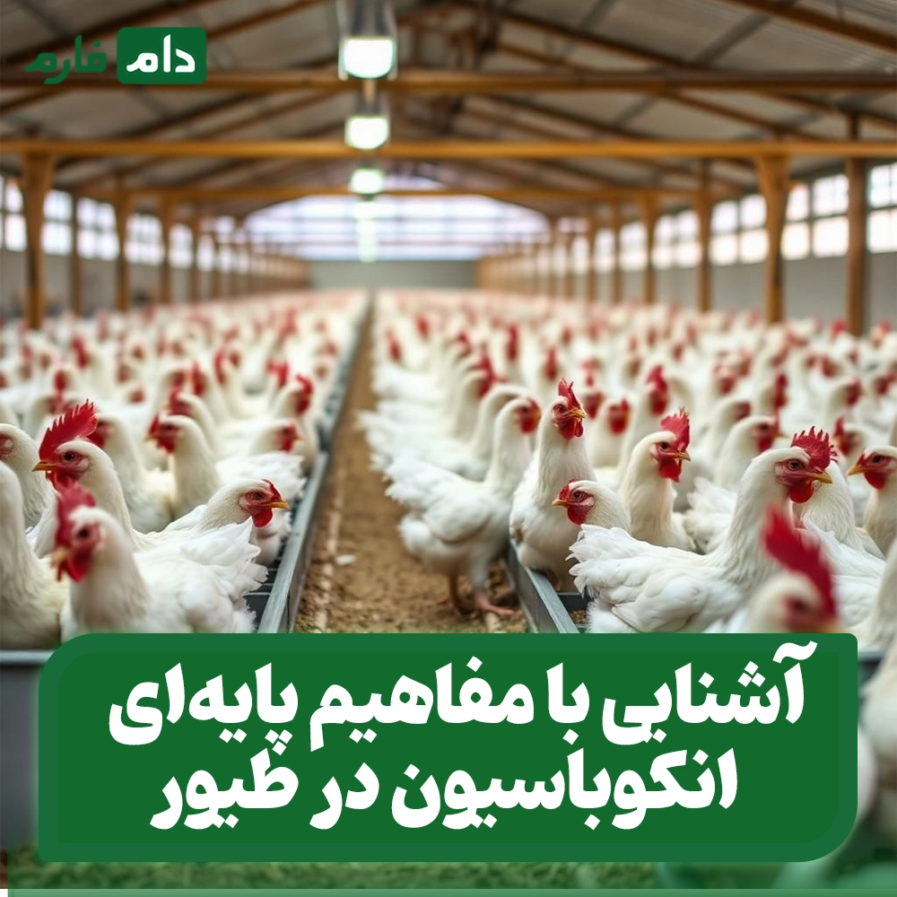 All-About-Setters-and-Hatchers:-The-Complete-Guide-to-Advanced-Incubation