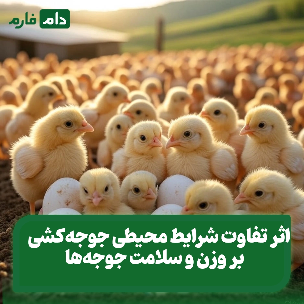 tafavat-jujeh-keshi-cpehei-mokhtelf-|-barresi-kamel-anavae-jujeh-keshi-ve-entekhab-bacpehtarin-sistam