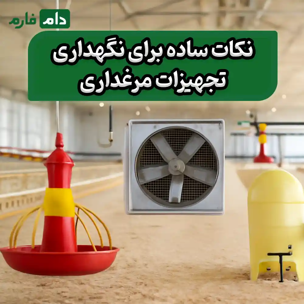 نکات_ساده_برای_نگهداری_تجهیزات_مرغداری