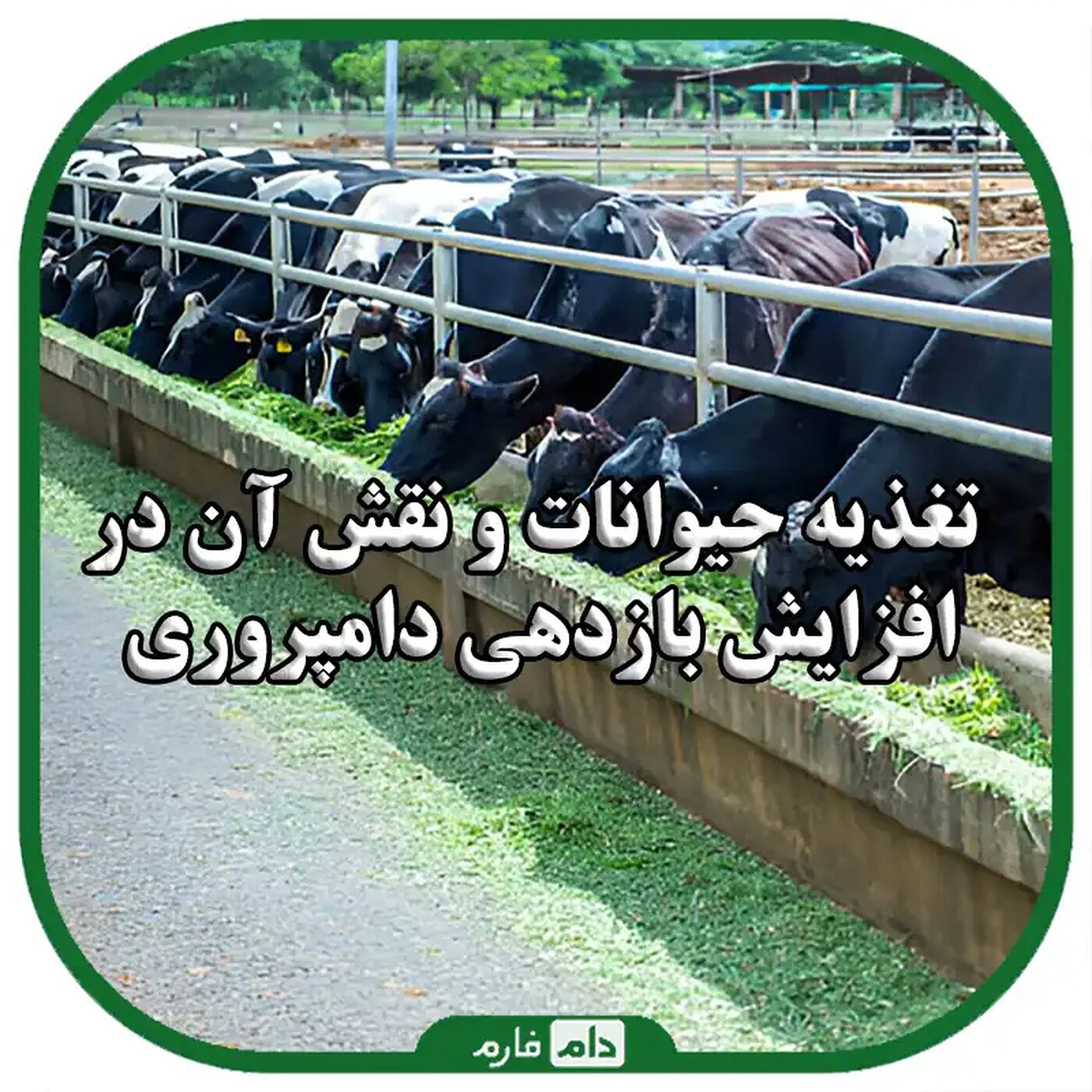 تغذیه_حیوانات_؛_انواع_خوراک_دام_و_ارزش_غذایی_آنها