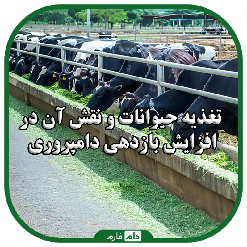 تغذیه_حیوانات_؛_انواع_خوراک_دام_و_ارزش_غذایی_آنها