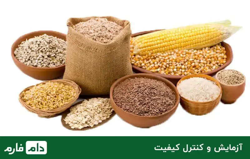 Feeding-animals,-types-of-feed-and-their-nutritional-value