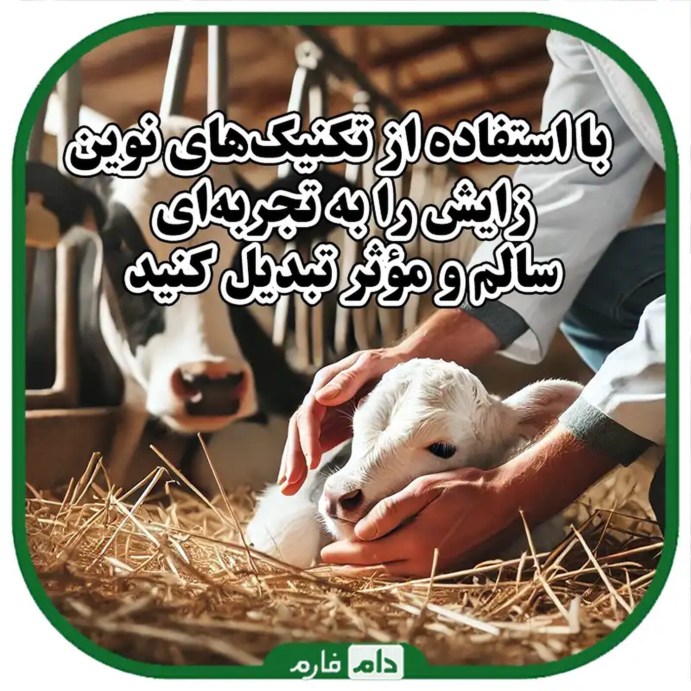روش‌های_نوین_مدیریت_زایش_در_دام‌ها_و_مراقبت‌های_پس_از_زایش_برای_افزایش_بهره‌وری_و_سلامت_دام‌ها